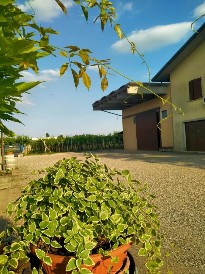 Corte Ohana Monteforte dʼAlpone Exterior foto